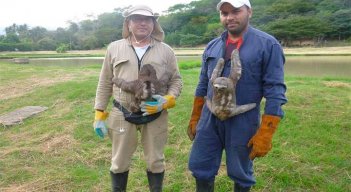 Guardianes de la fauna desamparada en Norte de Santander./Foto cortesía