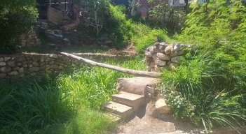 El canal de aguas lluvia está abandonado, muestra de ello es que creció maleza a lo largo de esa estructura.