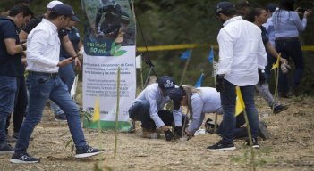 360 mil pulmones vegetales para Norte de Santander