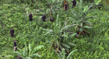 Honduras enciende las alarmas  