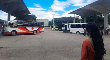 Buses 