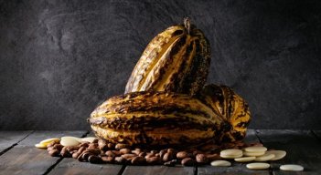 El café y el cacao serán protagonistas este fin de semana./Foto: Colprensa