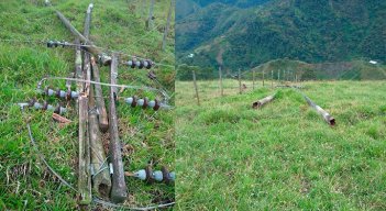 Vereda-Pomarroso