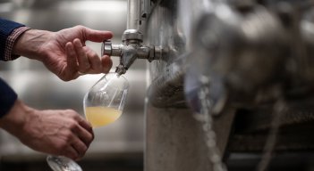 El vino británico gana cuerpo con el avance del cambio climático  