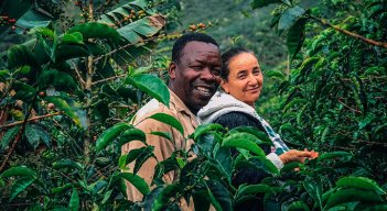 El café que cultiva Domingo Torres Angulo, en Ragonvalia, se consume en  China, Corea del Sur y Taiwán. Foto Cortesía /La Opinión