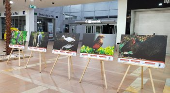 Estudiantes exponen fotos de aves de bosques en Los Patios./Foto: cortesía