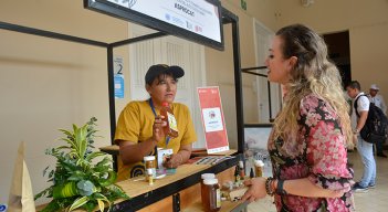 Sustitución de cultivos ilícitos. 
