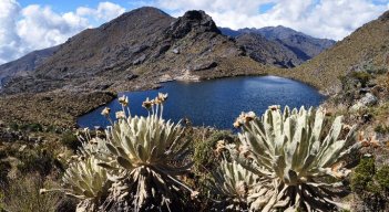 Se completaron cinco años intentando llevar a cabo la delimitación del páramo Santurbán/Foto archivo