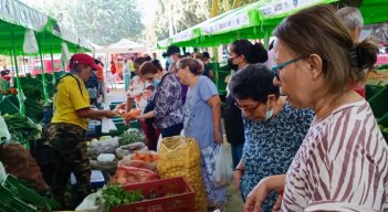 Mercado campesino en La ceiba registró más de 37 millones de pesos en ventas