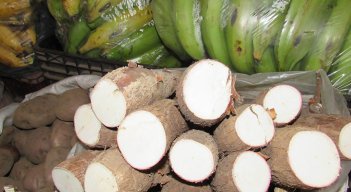 La yuca se disparó 107% en su precio. / Foto: Archivo