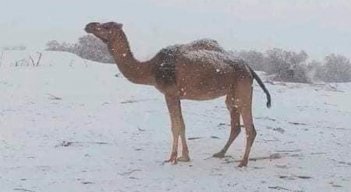 Desierto del sahara