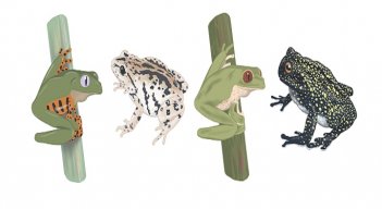 Ilustración.