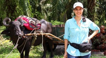 Fedepalma abre postulaciones a Premio Mujer Palmera 2023 