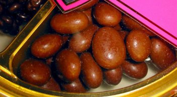 chocolate