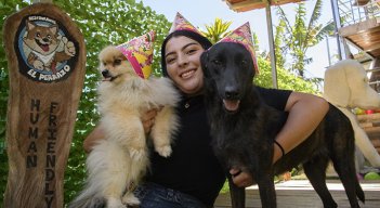 Restaurante para perros de Costa Rica es "amigable con humanos"./Foto: AFP
