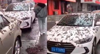 Lluvia de gusanos en China.