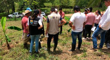 Los campesinos han recibido asesoría y formación, así como insumos y herramientas, para sacar adelante sus cultivos de plátano. Fotos Cortesía
