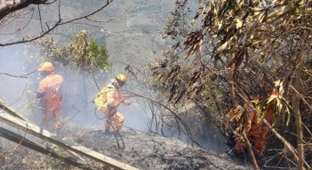 Esperan helicópteros del Ejército para apagar  incendios forestales