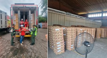 Empresario venezolano ha importado tres cargamentos de pollos desde Cundinamarca. /  Foto Cortesía