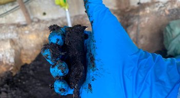 El piloto de la empresa Control Ambiental de Colombia se centró en procesar los residuos orgánicos de porcinaza.