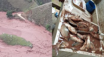 Emergencia por muerte de peces en el Río Tarra