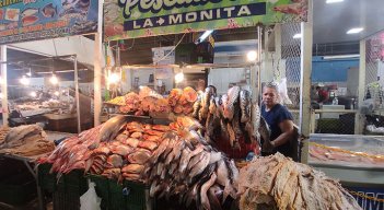 Precios del pescado seco oscilan entre $11.00 y $30.000/ Foto La Opinión