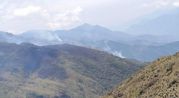 Incendios forestales causan  alarma en Norte de Santander