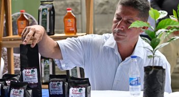 Se busca impulsar la siembra de café especial en la región. Foto Archivo