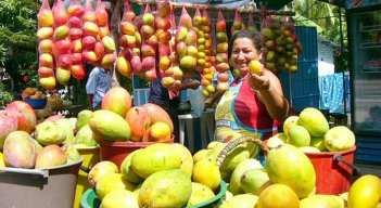 mango-azucar.