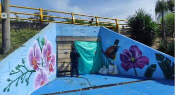 Grafitis Puente de Guadua