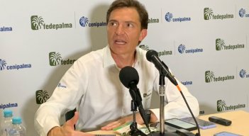 Nicolás Pérez Marulanda, presidente ejecutivo de Fedepalma