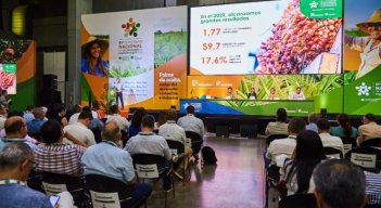 Palmeros registran cifras históricas en producción de aceite y exportaciones 