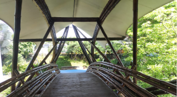 Puente de guadua