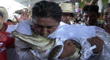 Matrimonio-con-caimán. / Foto: AFP