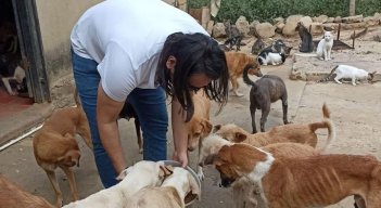 Amenazaron a concejal animalista de Cúcuta 