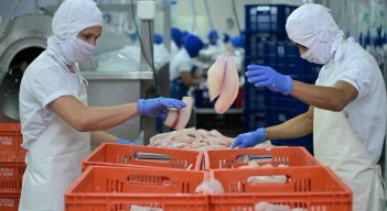 Cerca de 500.000 trabajadores fueron afiliados a las cajas de compensación familiar, el último año, en Colombia. Foto Archivo La Opinión