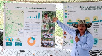 El 31% de los productores de palma de aceite son mujeres