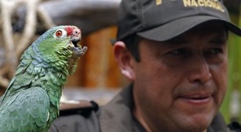 Narco zoológico en Ecuador