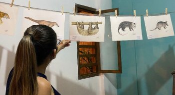 Las pinturas son realizadas por un biólogo amante de la riqueza natural del departamento.