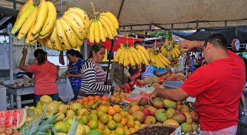 En las frutas frescas, la variación nacional fue de 20,97%, impulsada por el aguacate, porque terminaron las cosechas. / Foto: Archivo