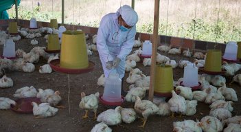Nueve unidades productivas se Cúcuta se beneficiarán de ‘Raíces de Esperanza’. Foto Archivo La Opinión
