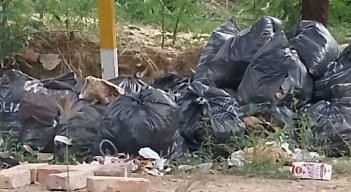 Los vecinos dicen que la empresa no lo va a recoger, en cambio, Veolia afirma que sí