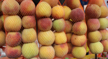  En el corazón de Chitagá, Colombia, la historia del durazno chitanguense es un relato de ingenio agrícola que ha transformado no solo la economía local, sino también la identidad cultural de la región