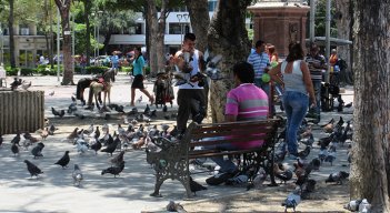 Regulación de drogas en parques. 