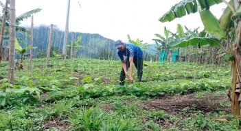 El dinero se entregará a 30.000 campesinos de Norte de Santander y otras 24 regiones del país./ Foto archivo