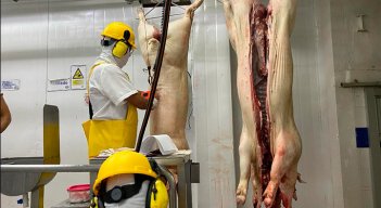 La tecnificación de los procesos de crianza y sacrificio del cerdo impulsará la productividad y competitividad de los poricultores de la región./ Foto Cortesía