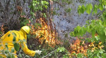 Según Corponor, entre 80 y 90 por ciento de los incendios forestales inician en quemas controladas.