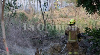 Incendio forestal
