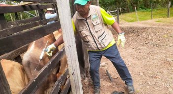 La Organización Mundial de Sanidad Animal otorgó recertificaciones a Colombia. / Foto: Archivo