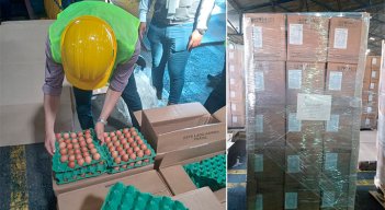Colombia exportó los primeros 518.400 huevos a Cuba./ Foto Cortesía